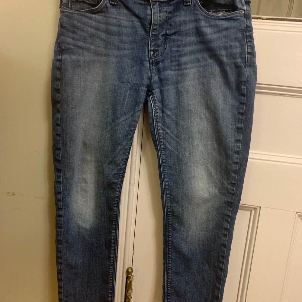Hudson Jeans Blue Ankle & Cropped Slim Fit
